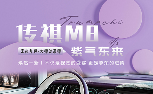 Trumpchi M8 - No Damage, Prosperity Edition